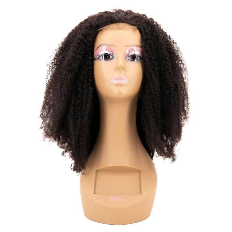 Afro Kinky Curly Wig on a mannequin head.